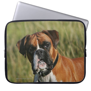 Housse Pour Ordinateur Portable Chien de boxeur regardant fixement