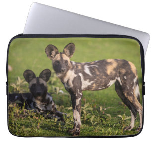 Housse Pour Ordinateur Portable Chiens Sauvages Africains en Tanzanie