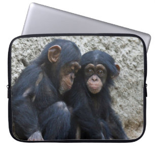 Housse Pour Ordinateur Portable Chimpanzé 002
