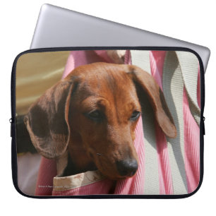 Housse Pour Ordinateur Portable chiot miniature Lisse-haired de teckel