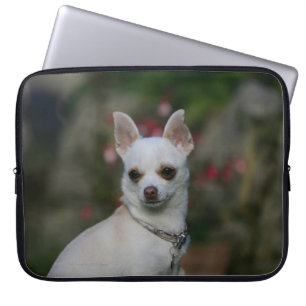 Housse Pour Ordinateur Portable Chiwawa blanc