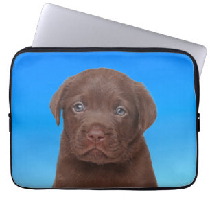 Housse Pour Ordinateur Portable Chocolat Labrador