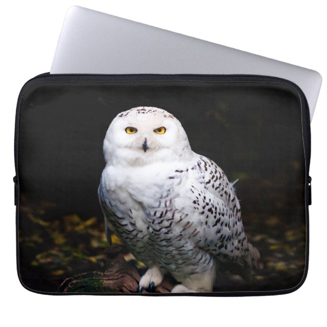 Housse Pour Ordinateur Portable Chouette hivernale majestueuse (Devant)
