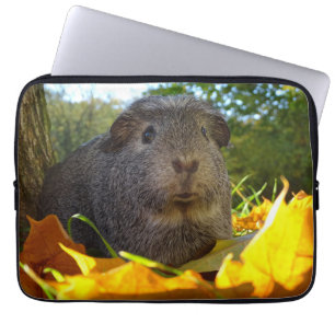 Housse Pour Ordinateur Portable Cobaye mignon en nature