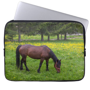 Housse Pour Ordinateur Portable Col de Tihuta, cheval dans un pâturage