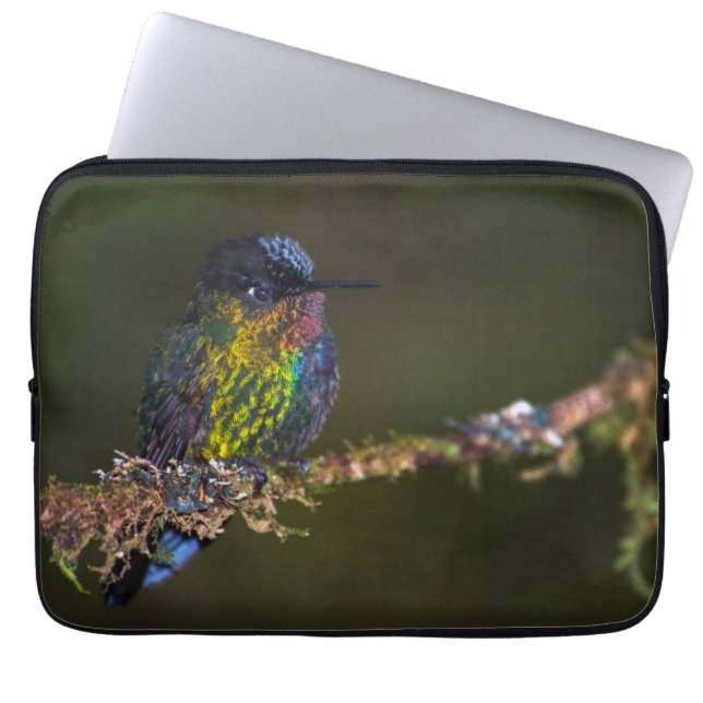 Housse Pour Ordinateur Portable Colibri (Devant)