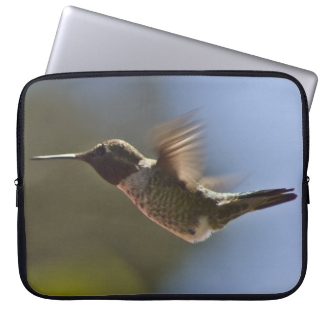 Housse Pour Ordinateur Portable Colibri en vol (Devant)