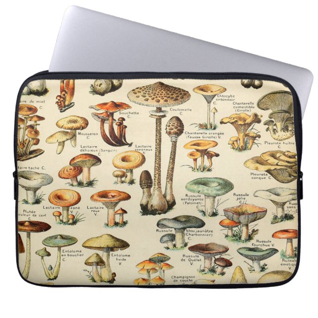 Housse Pour Ordinateur Portable Collection de champignons (Devant)