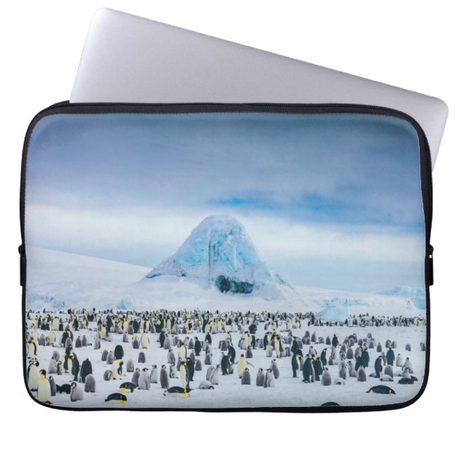 Housse Pour Ordinateur Portable Colonie de pingouin d'empereur (Devant)