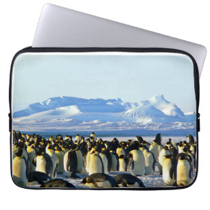 Housse Pour Ordinateur Portable colonie de pingouins sur glace