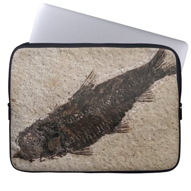 Housse Pour Ordinateur Portable Coque électronique de poisson fossilisé (Devant)