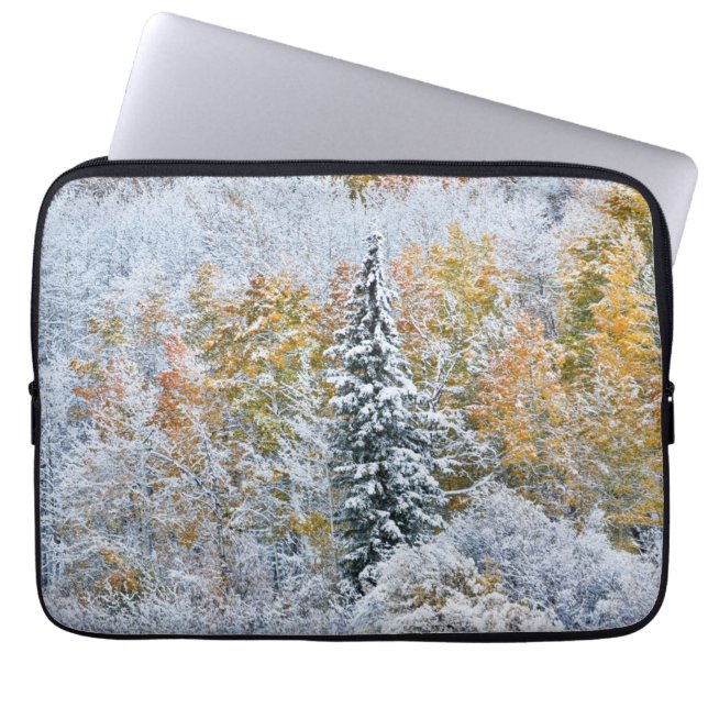 Housse Pour Ordinateur Portable Couleurs automnales des Aspens et du col Keebler (Devant)