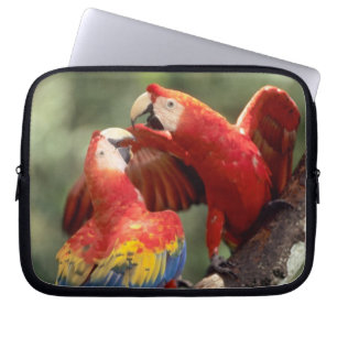 Housse Pour Ordinateur Portable Couple d'Ara rouge