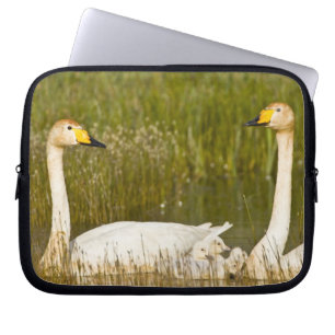 Housse Pour Ordinateur Portable Couple de cygnes chanteurs avec cygneaux en Island