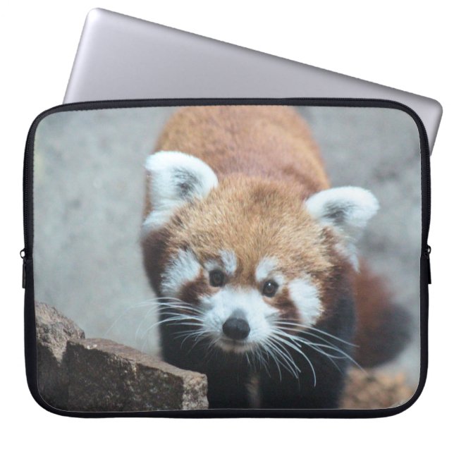 Housse Pour Ordinateur Portable Cute (Devant)