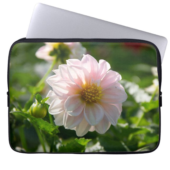 Housse Pour Ordinateur Portable Dahlia blanche dans la photo du jardin (Devant)