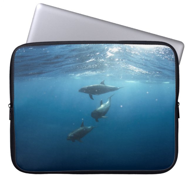 Housse Pour Ordinateur Portable Dolphin Family (Devant)