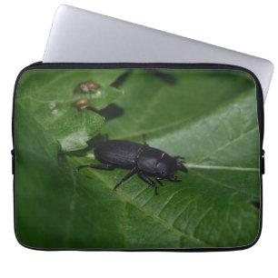 Housse Pour Ordinateur Portable Dorcus parallelipipedus, le moindre dendroctone du