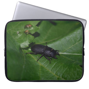 Housse Pour Ordinateur Portable Dorcus parallelipipedus, le moindre dendroctone du