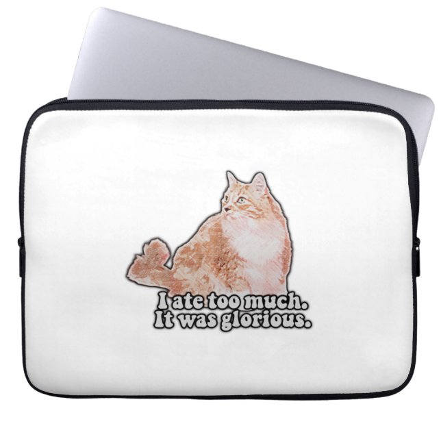 Housse Pour Ordinateur Portable Drôle mème de chat grincheux pour les amateurs de  (Devant)