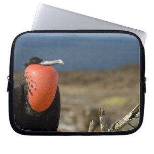 Housse Pour Ordinateur Portable Équateur, Galapagos, Île Genovesa. Prince