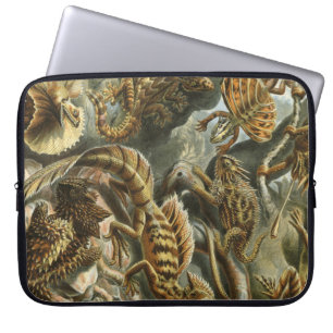 Housse Pour Ordinateur Portable Ernst Haeckel, ancienne illustration de mode Lacer