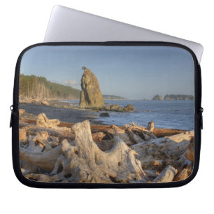 Housse Pour Ordinateur Portable États-Unis, Washington, Parc national Olympique, R