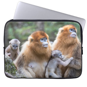 Housse Pour Ordinateur Portable Famille de singes dorés