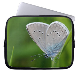 Housse Pour Ordinateur Portable Farfalla Laptop Sleeve