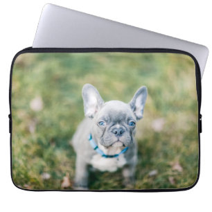 Housse Pour Ordinateur Portable Fermeture d'un chien de taureau français