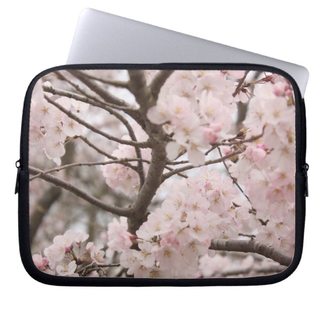 Housse Pour Ordinateur Portable Fleur de cerise (Devant)
