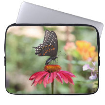 Fleur de cône noire orientale