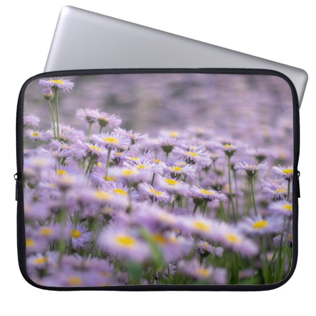 Housse Pour Ordinateur Portable Fleurs d'aster violet (Devant)