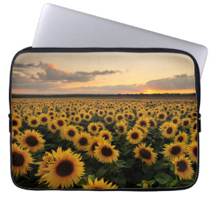 Housse Pour Ordinateur Portable Fleurs Terrain de tournesol