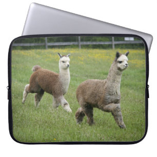 Housse Pour Ordinateur Portable Fonctionnement gris d'alpaga