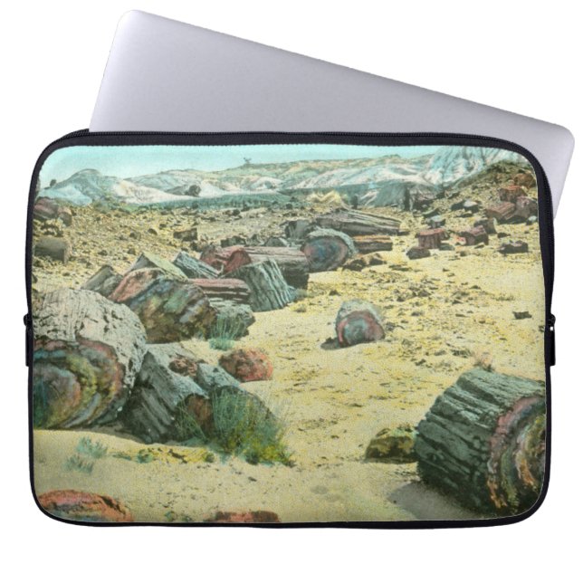 Housse Pour Ordinateur Portable Forêt Petrified (Devant)