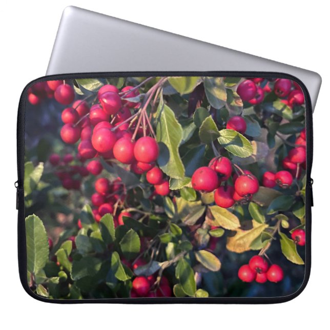 Housse Pour Ordinateur Portable Fruit d'automne (Devant)