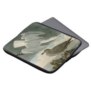 Housse Pour Ordinateur Portable Goéland argenté des oiseaux américains de John Aud