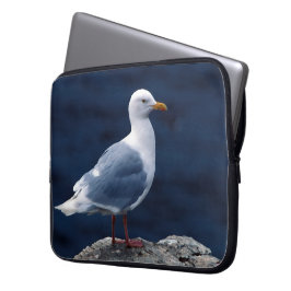 Housse Pour Ordinateur Portable Goéland glauceux