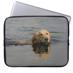 Housse Pour Ordinateur Portable Golden retriever nageant