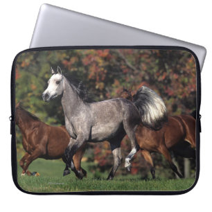 Housse Pour Ordinateur Portable Groupe de fonctionnement arabe de chevaux