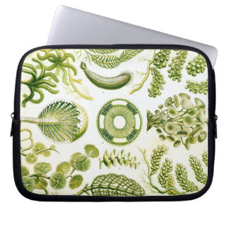 Housse Pour Ordinateur Portable Haeckel vintage