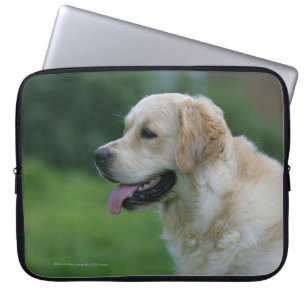Housse Pour Ordinateur Portable Headshot 2 2 de golden retriever