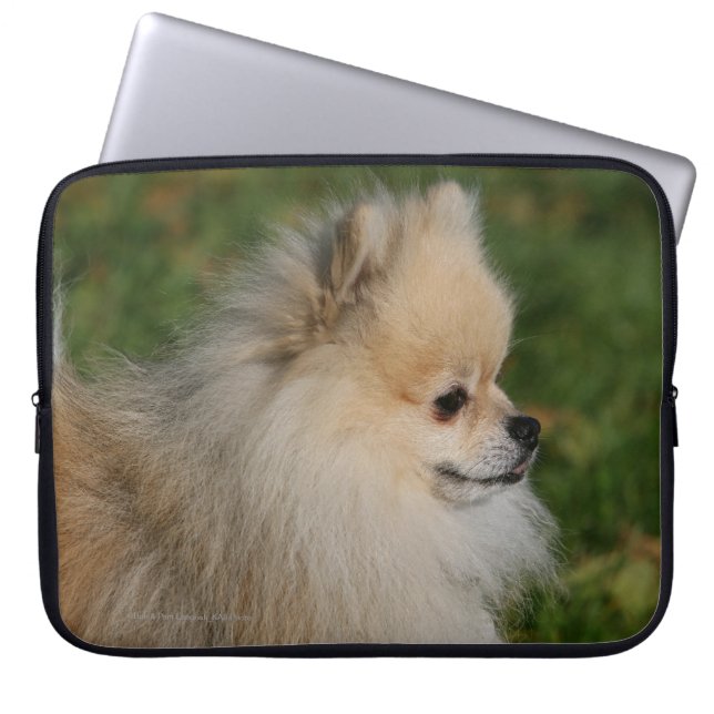 Housse Pour Ordinateur Portable Headshot 2 de Pomeranian (Devant)