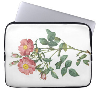 Housse Pour Ordinateur Portable Illustration botanique de rose rose délicate