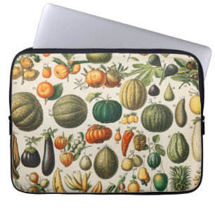 Housse Pour Ordinateur Portable Illustration scientifique végétale des fruits