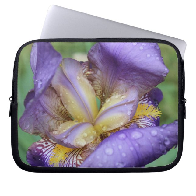 Housse Pour Ordinateur Portable Iris Violet (Iris Germanica) (Devant)