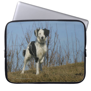 Housse Pour Ordinateur Portable Jambe de border collie augmentée