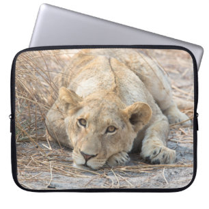 Housse Pour Ordinateur Portable Jeune lion