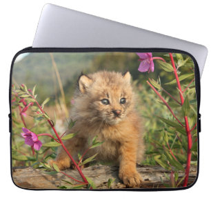 Housse Pour Ordinateur Portable Jeune Lynx du Canada, Alaska